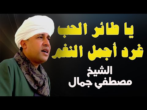 يا طائر الحب غرد أجمل النغم أجمل قصائد المدح الشيخ مصطفي جمال