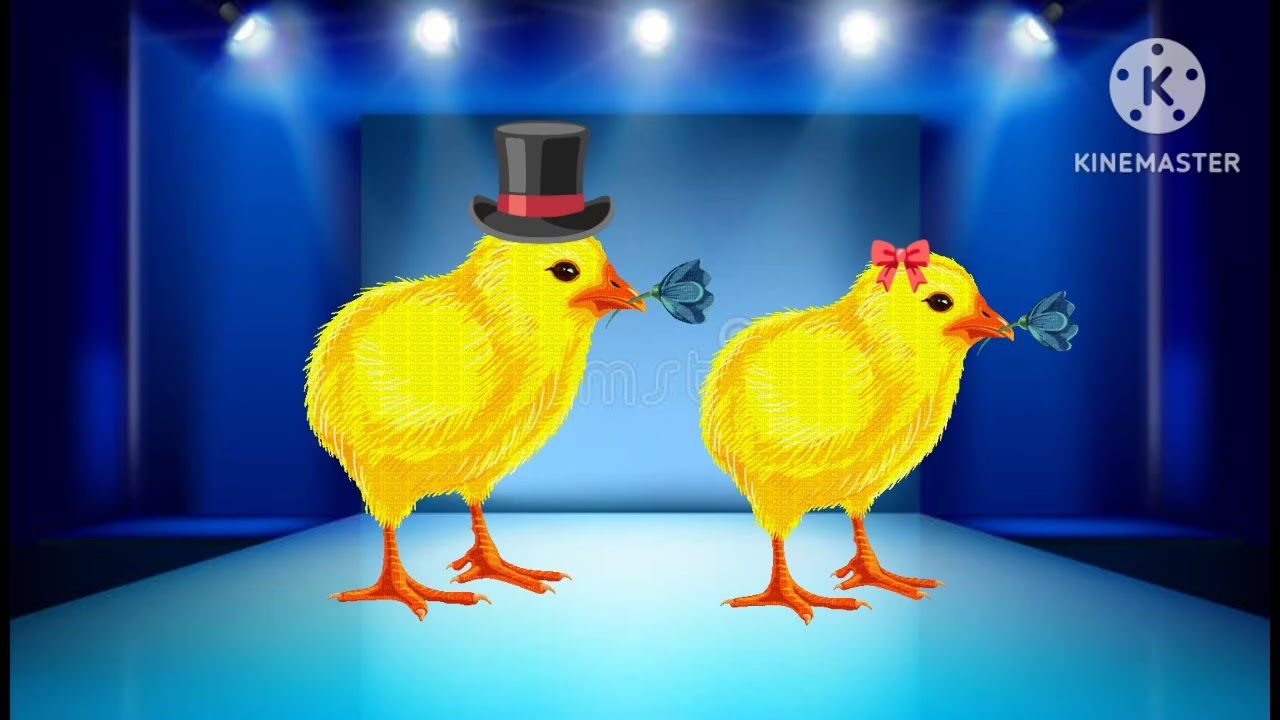 Classical Pink Hen - The Chicken Dance