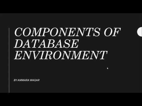 COMPONENTS OF DATABASE ENVIRONMENT
