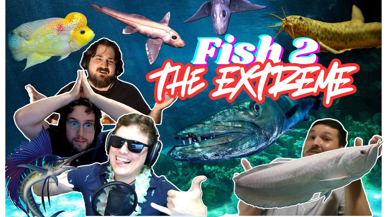 What's the fastest fish? | Bus One Trivia 195 - Fish 2 : THE EXTREME