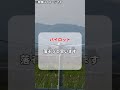 パイロット訓練中に不具合!? #shorts #雑学 #豆知識