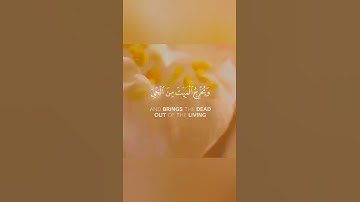 آيات تدل على عظمة الله بصوت جميل جدا حالات واتس اب دينية قصيرة مؤثرة قرآن كريم تلاوة خاشعة انستا
