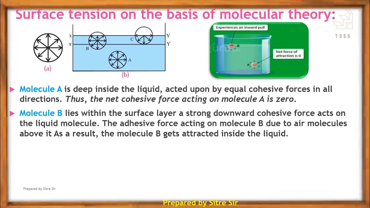 2.4.1 Molecular Theory of Surface Tension YouTube