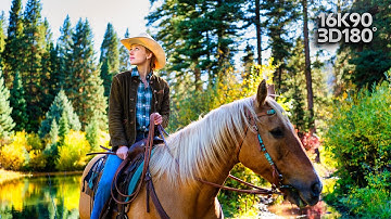 Aspen Fall Colors in 3D VR180 | Relaxation & Horseback Ride Experience