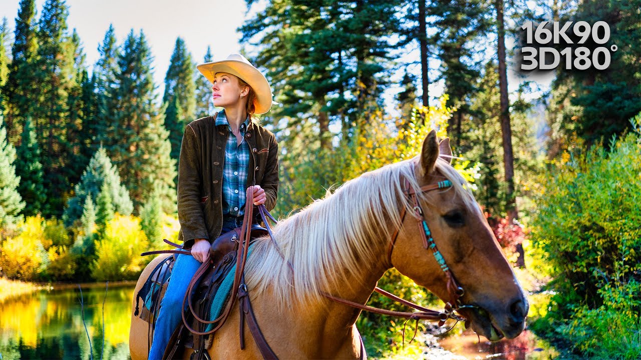 Осенние краски Аспена в 3D VR180 | Отдых и конные прогулки