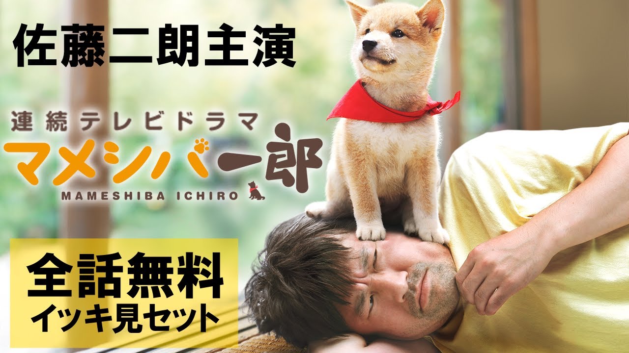 ?イッキ見 無料配信中】『マメシバ一郎』全話セット！作業用として 