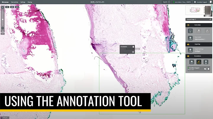 Grundium Annotation Tool