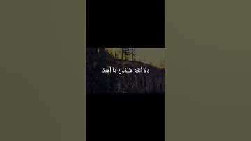 الشيخ محمد الليثي سورة الكافرون #قرآن #المصحف #اكسبلور