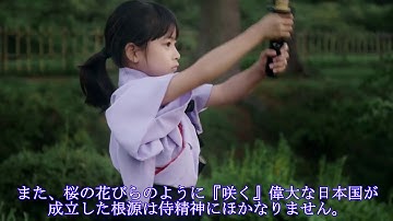 Giao lưu Việt Nhật trường Tiểu học Nguyễn Công Trứ Hải Phòng