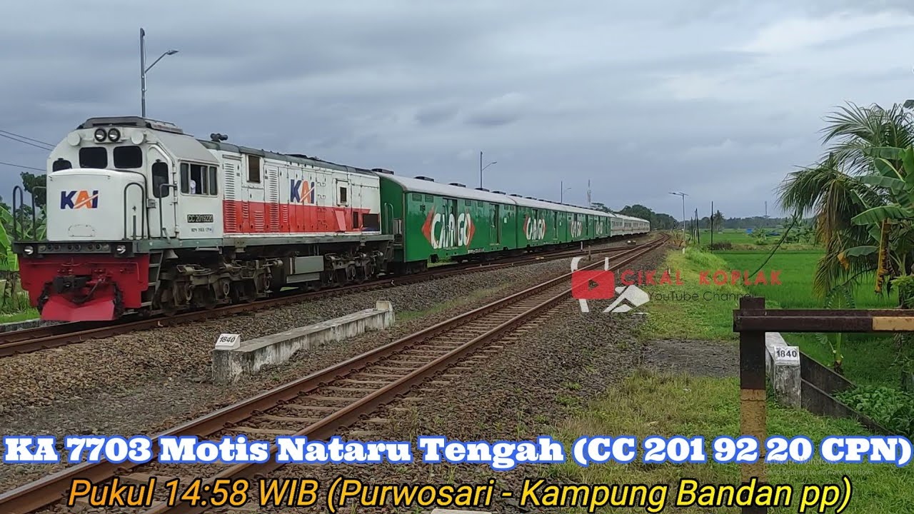 KOMPILASI 18 KERETA MELINTAS JPL 599 STASIUN BUTUH - SELASA 30 DESEMBER 2025