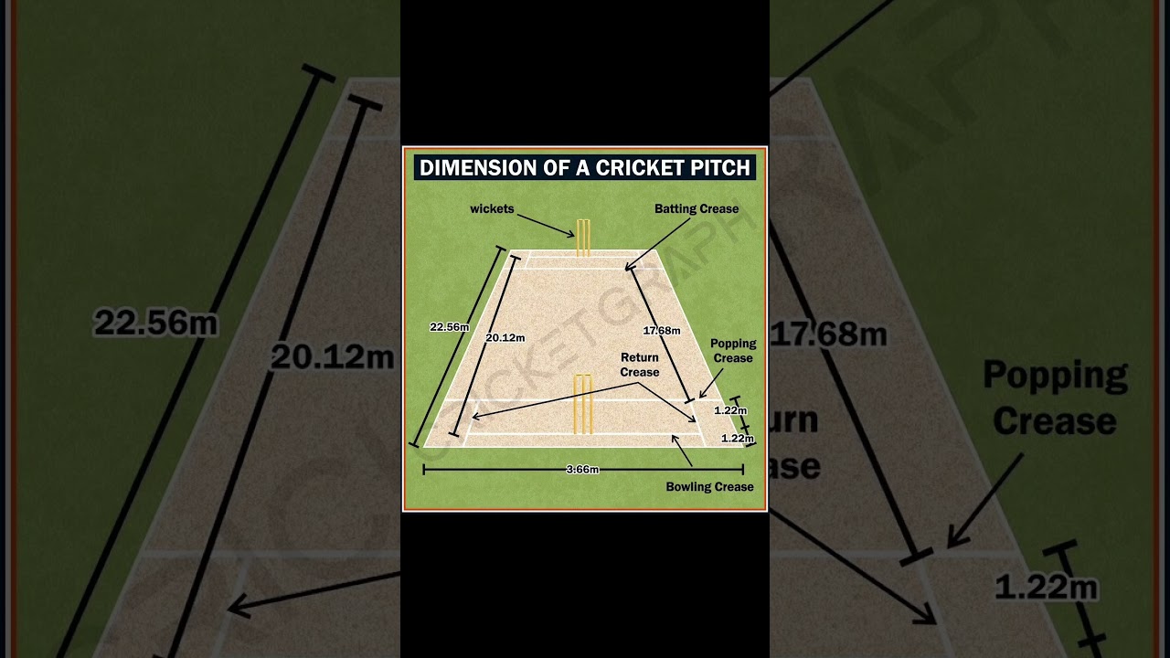 Get to know cricket pitch dimensions 