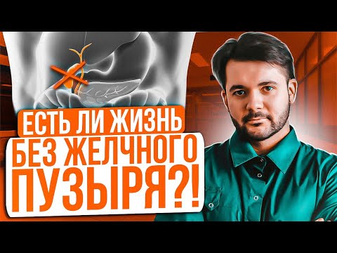 Бейне: Асқабақ диареямен ауыратын итке көмектесе ме?