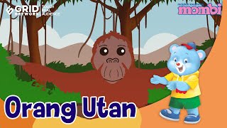 Download Lagu Belajar dan Mengenal Hewan Orang Utan MP3