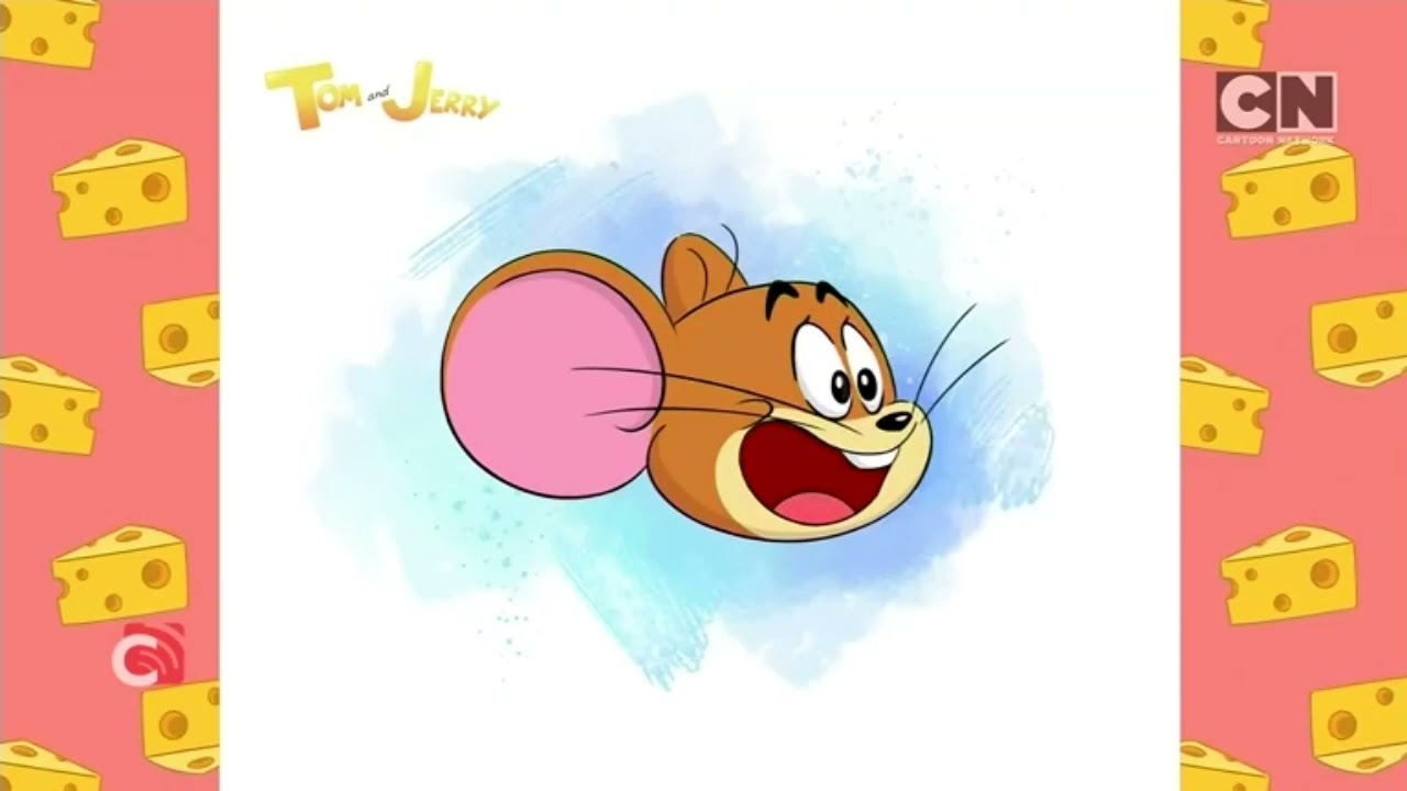 Cartoon Network Asia [Cignal/Philippines] - Continuity [June 8, 2024]