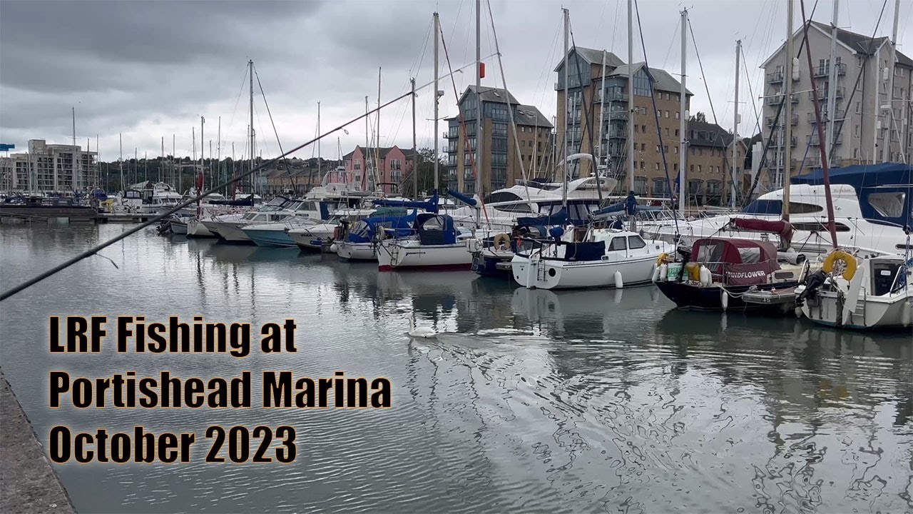 LRF Fishing - Portishead Marina October '23