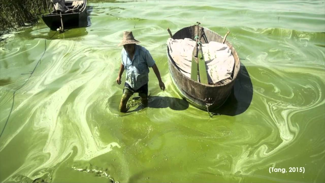 Arte De Escrever Com Agua No Chao China