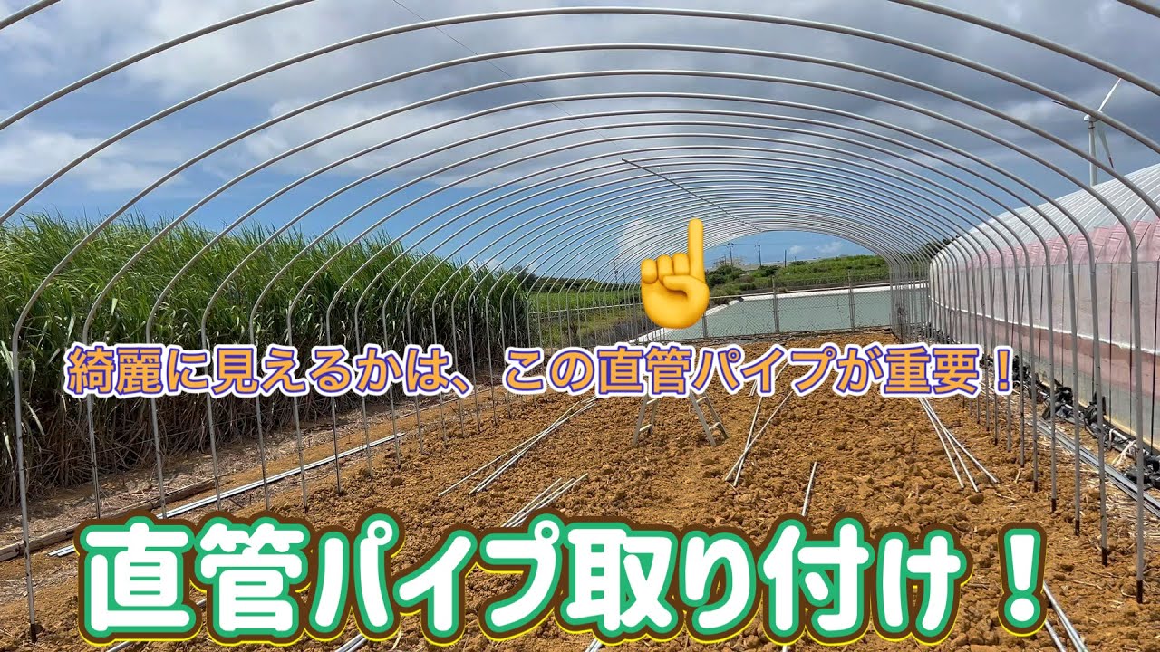ビニールハウスの見た目は、1番上の直管パイプが重要です！これが