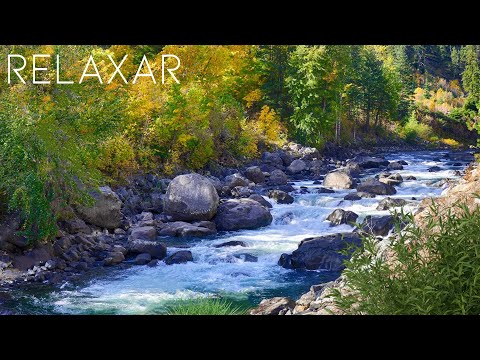Mente Tranquila - Música Relaxante Celta Para Confortar e Acalmar a Alma com Sons de Água e Natureza