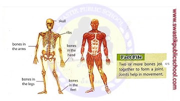 Class 3 EVS Ch- 2 PART-2 by Anuj Yadav Sir