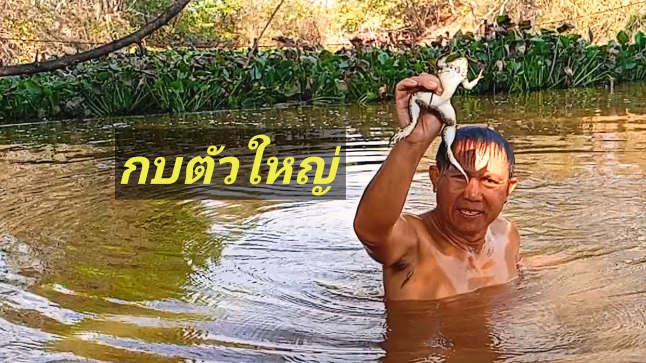 ep18 ตึกแห  กักดาง จอบบ้อน หมายนี้ไปสองคนน้ำลึกเอาปลายาก