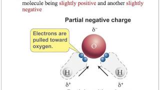 Polyatomic Ions Module 9-3