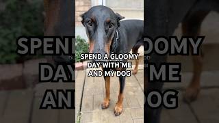 Spend This Gloomy Day With Me Ares