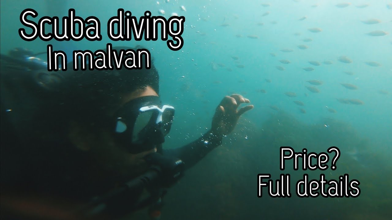 scuba diving in malvan price,full details, contact details YouTube