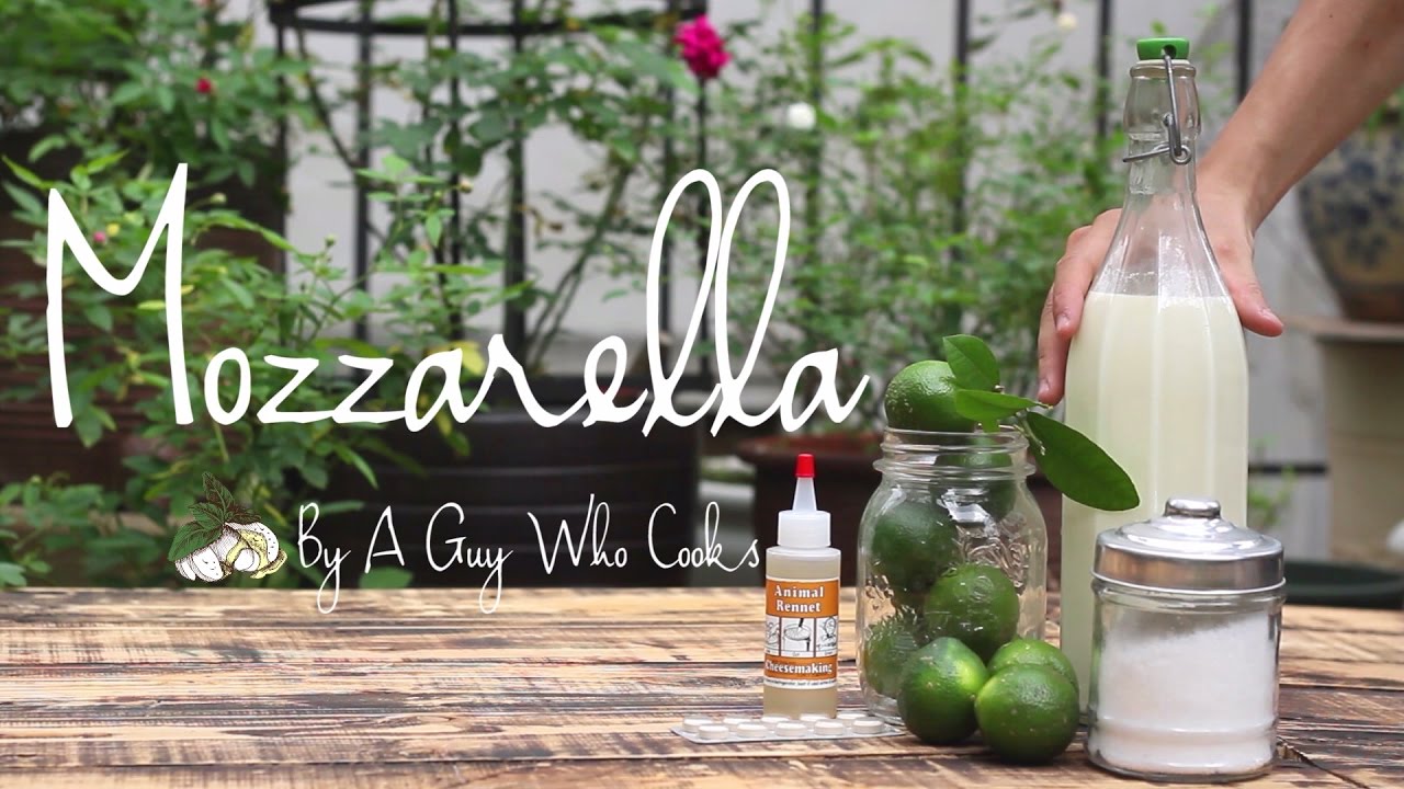 Fresh Mozzarella by A Guy Who Cooks - youtube