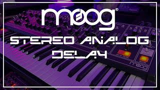 Moog Matriarch Stereo Analog Delay