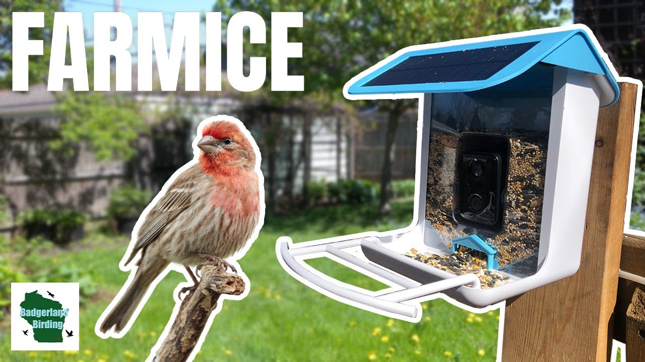 Smart Technology Meets Nature: Farmice Smart Bird Feeder Review