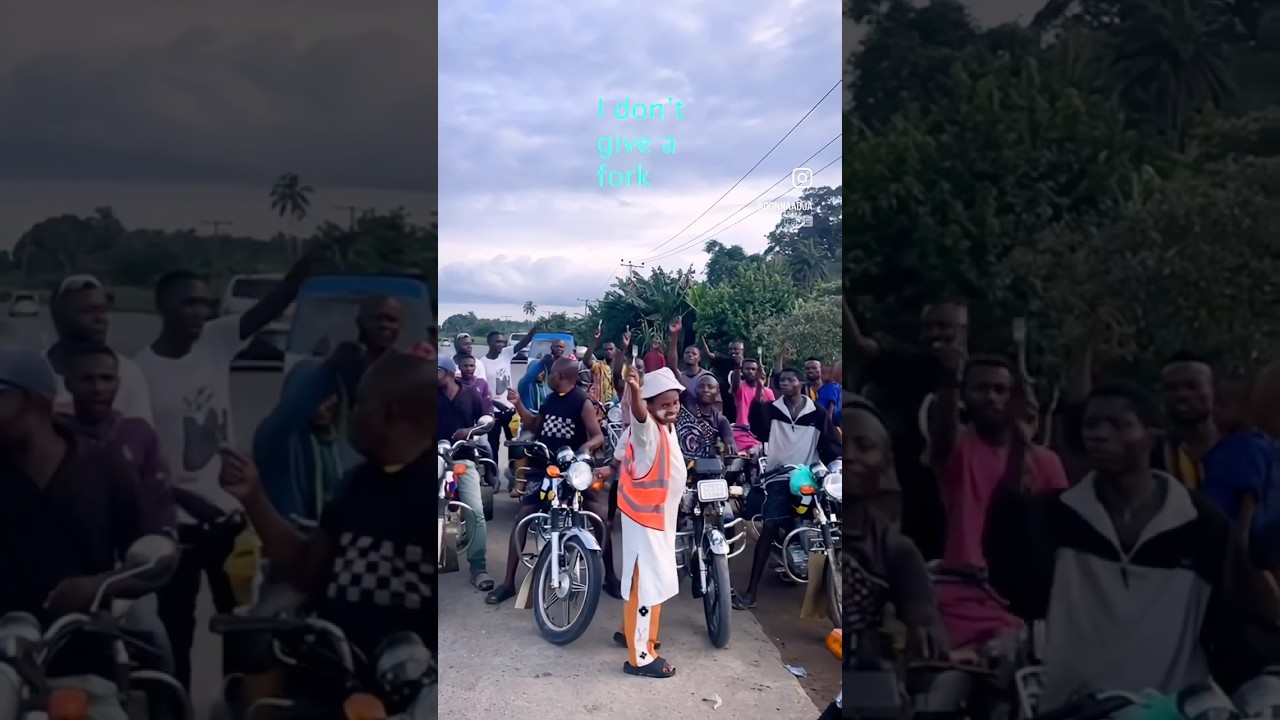 🤣wow! No Forks trending 🔥🔥💯