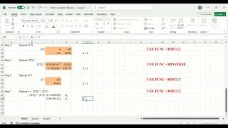 Least Square Estimation of Regression Parameter (Matrix Approach) by using Excel