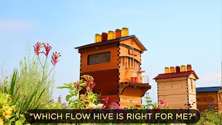 Which Flow Hive is right for me ‍♂