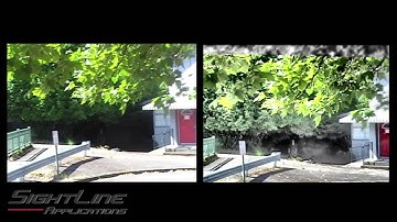 Image Enhancement - Bushes