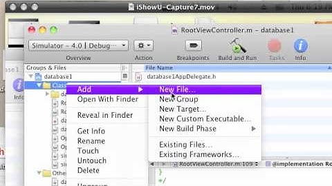 iPhone tutorial database programming part3