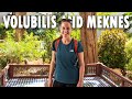 Exploring Volubilis And Meknes By Moroccan First Class Train 
