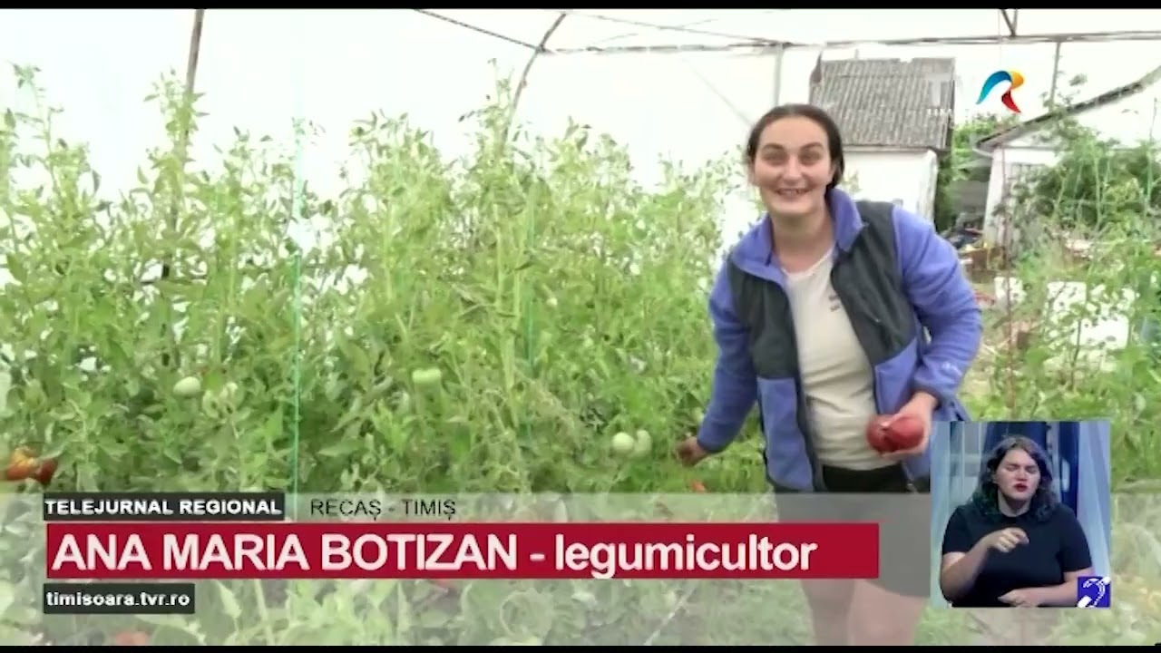 Legumicultorii vând la poarta casei produsele din propriile grădini și sere #StiriRegionale