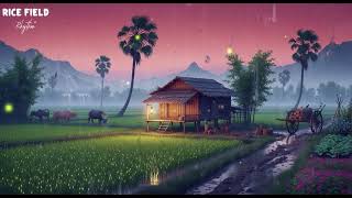 Rice Field Rhythm Childhood Nostalgia | Miss My Childhood When The Rain Falls | Childhood Memories