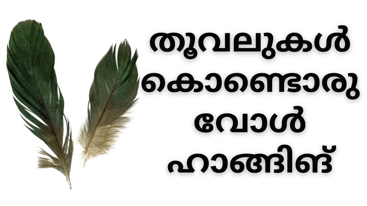 Wall Hanging With Feathers Simple wall-hanging-with-feathers-simple