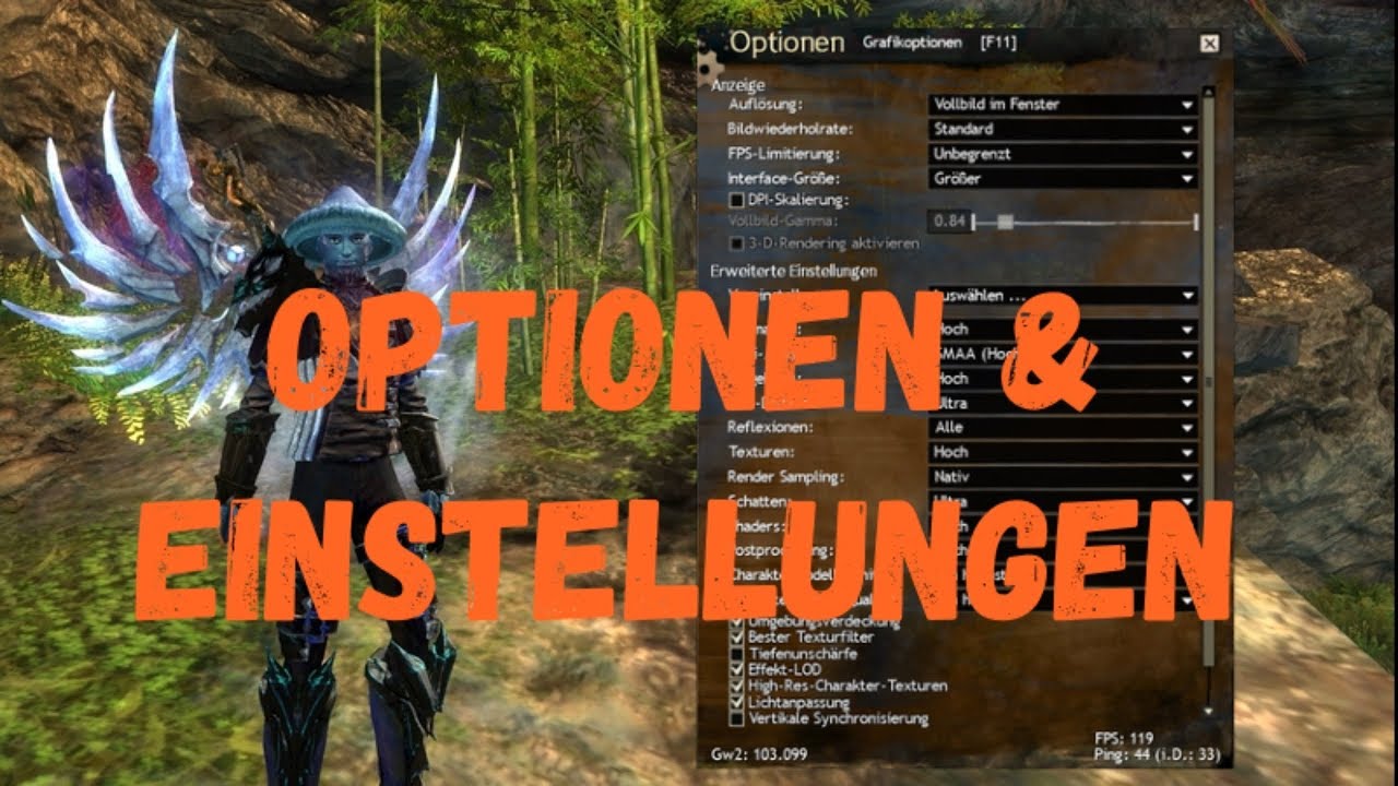 Guild Wars 2 Guide: Optionen & Einstellungen die jeder haben sollte
