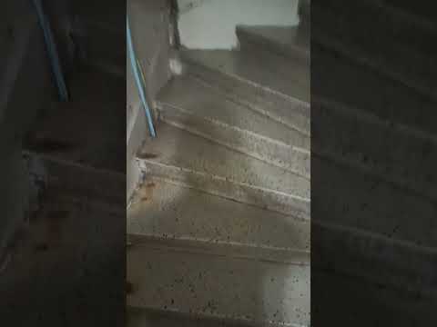 أنشودة باع الحياة رخيصة