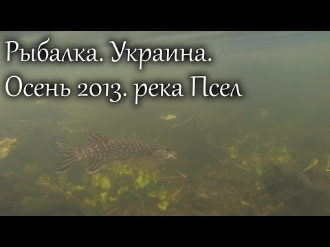 рыбалка осень украина