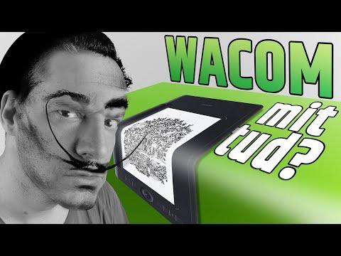 Videó: Működik a Wacom Intuos a Chromebookokkal?