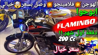 الهوجن💥فلامنجو200💥وصل تعديلات خرافيه سعرها🤑مفاجأه شاهد بنفسك موديل٢٠٢٠