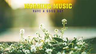 Morning Relaxing Music Will Put You In A Great Mood | Piano Music, Positive Music, Study Music