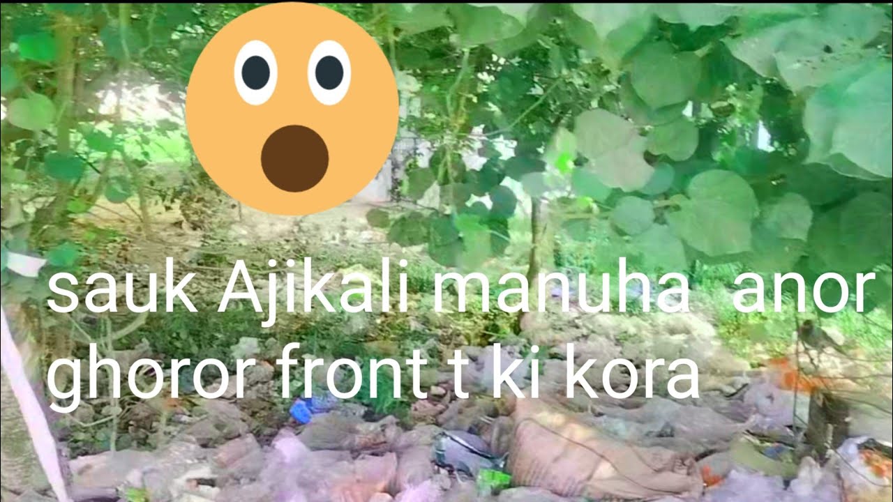 #Manuh or ghor or front t #anakuwa koribo lagana#manuh bur ki hoi goisa ...