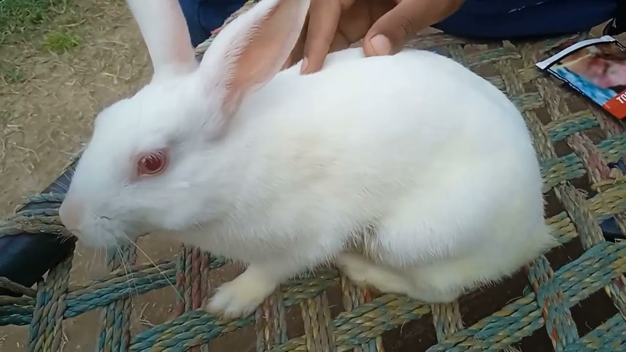 New video please 🙏#👍like #subscribe #share 