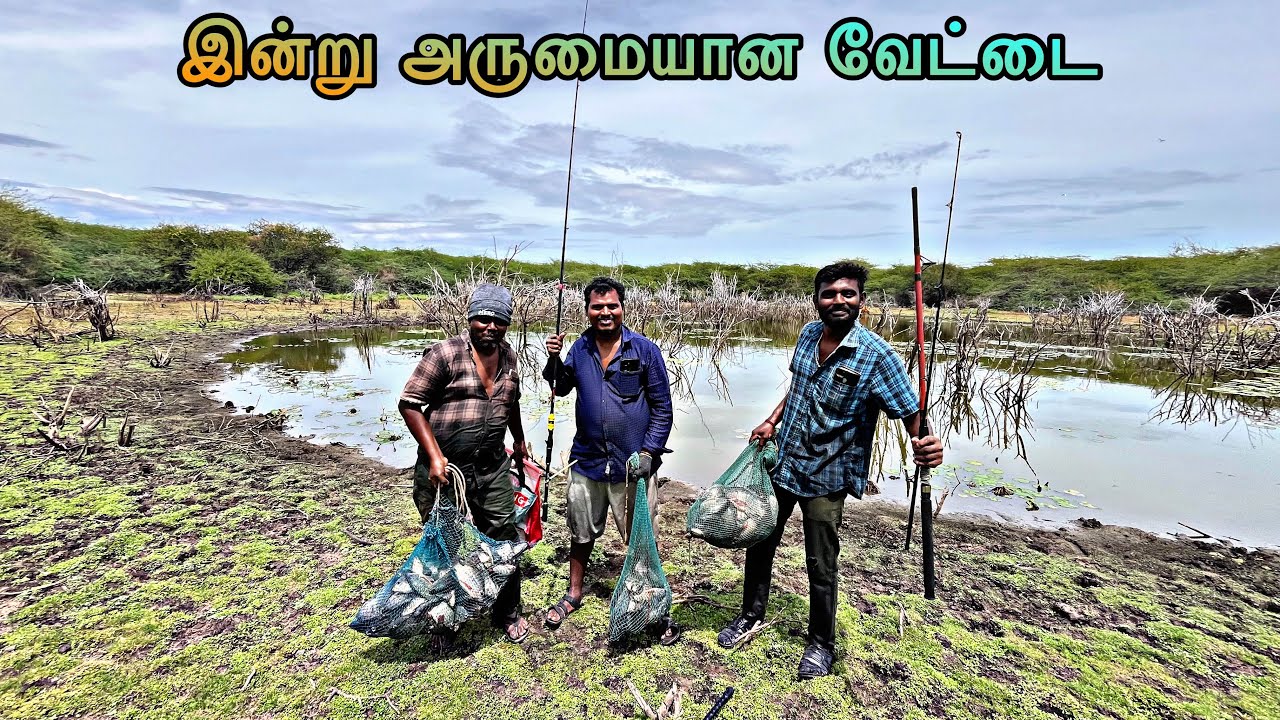 இடை விடாத மீன்கள் வேட்டை முவரின் வேட்டை ஜிலேபி மீன்கள் #நத்தம்மாரியம்மன் 