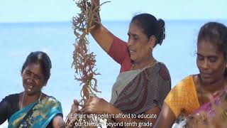 Unlocking the potential: IFFCO Sagarika Preparation Guide || IFFCO SAGARIKA