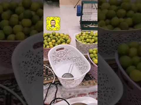 الليمون الحساوي